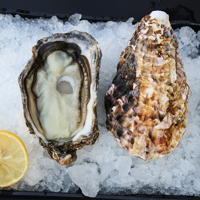 生蚝蚝门盛宴鲜活韩国珍国珍宝生6只150250g左右生蚝