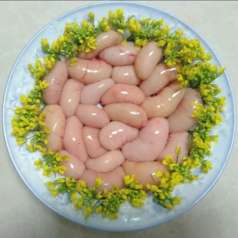 子鸡2斤新鲜鸡腰肾鸡卵鸡睾丸宝鸡春公鸡蛋其它