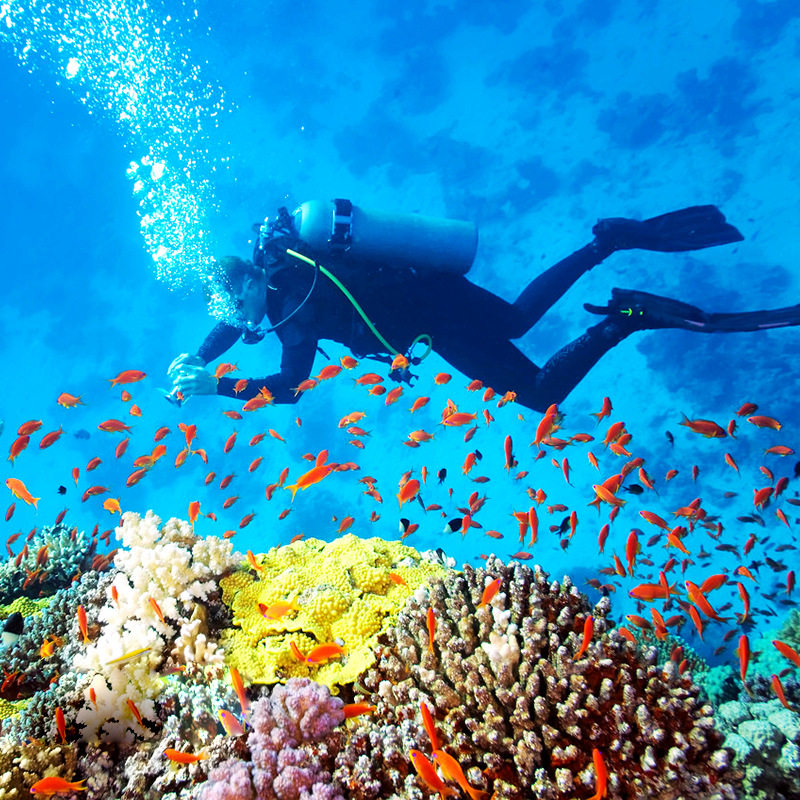 泰国芭提雅一日游 格兰岛水上项目 中文导游 芭提雅出海浮潜旅游