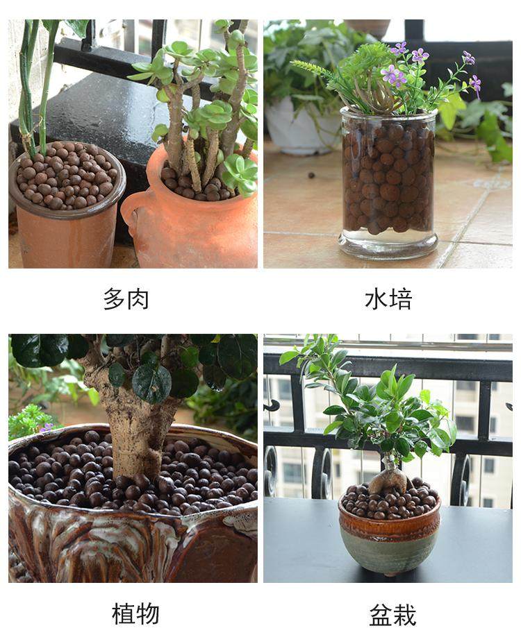 陶粒养花防烂根透气花用花盆垫底铺面水培卫生间介质