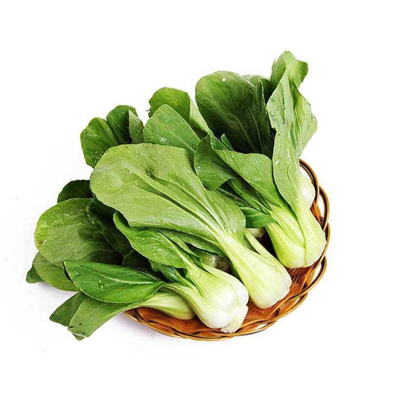 多种原装上海青种子 青梗菜种子 庭院 阳台 四季播种 四月慢 五月