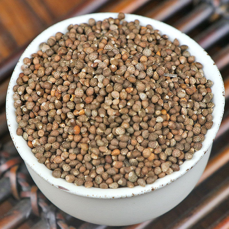 大货紫苏东北苏子生子生苏籽野苏籽苏食用500克包邮其他药食同源食品