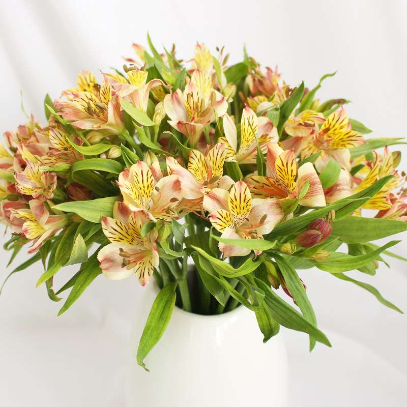 水仙百合六出鲜花办公室配花上海杭州顺丰水养插花鲜切花女神节礼
