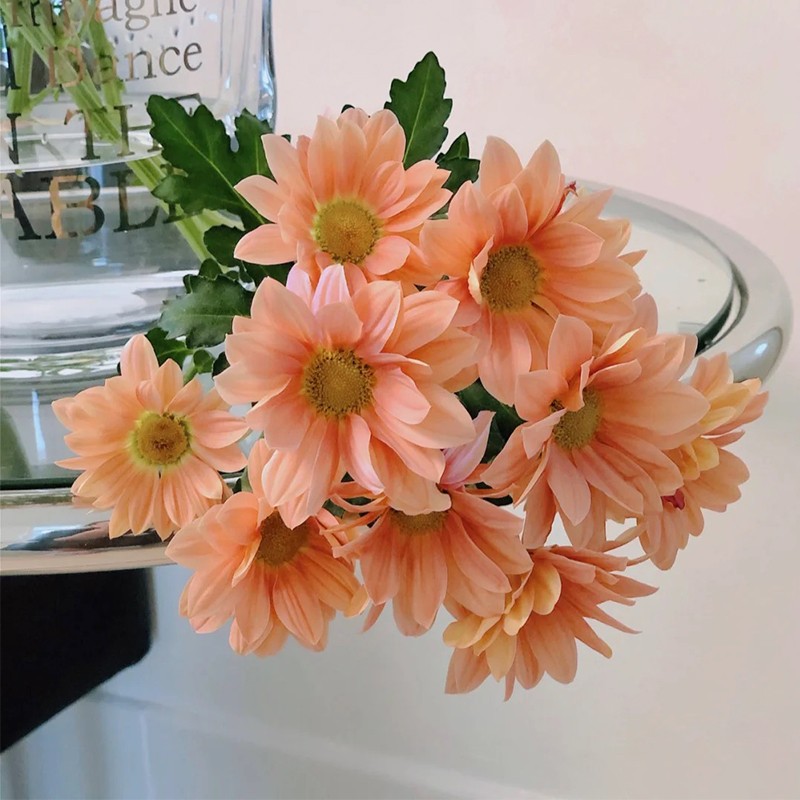 三文鱼小雏菊鲜花直批家用水养插花鲜切花网红款小菊女神节礼