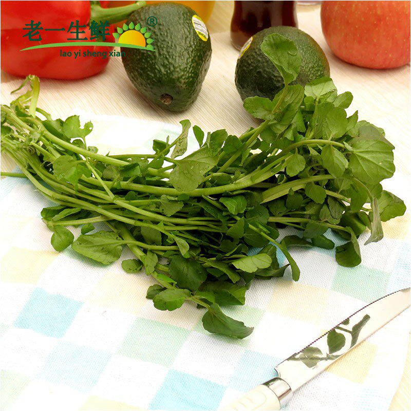 蔬菜新鲜一生生鲜西洋洋菜西餐豆瓣凉菜500g其它