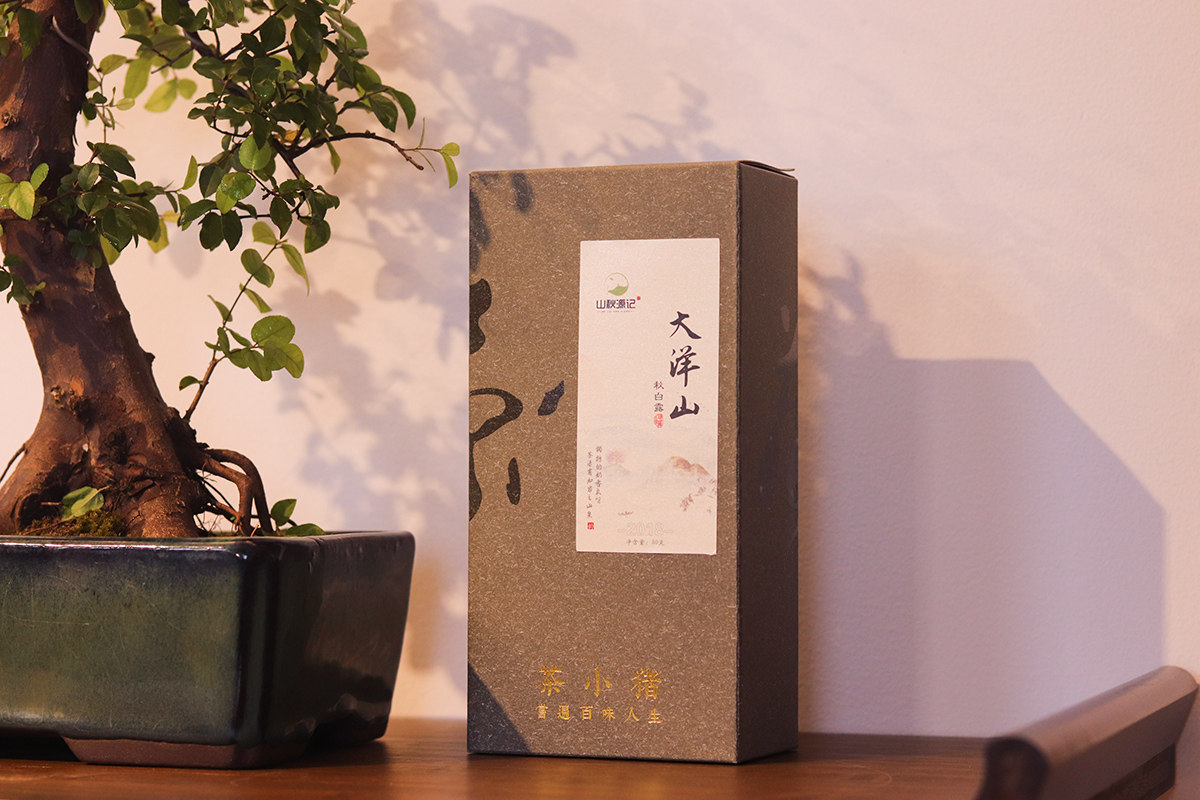 山秋源记大洋山秋白露福鼎白茶