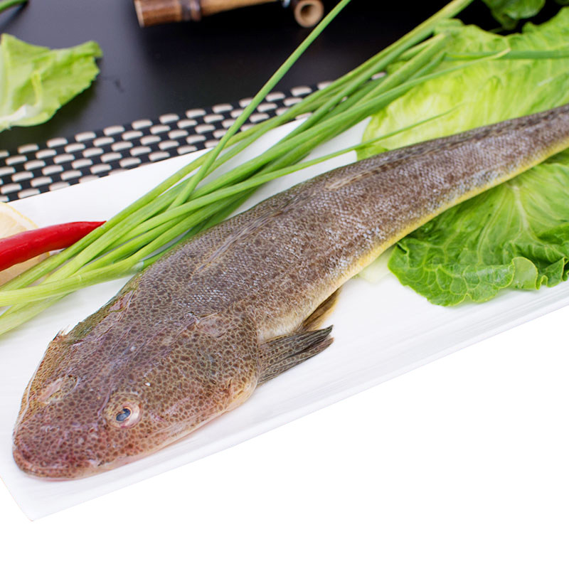 海鲜辫子子鱼狗腿牛尾新鲜海鱼水产速冻一斤其它