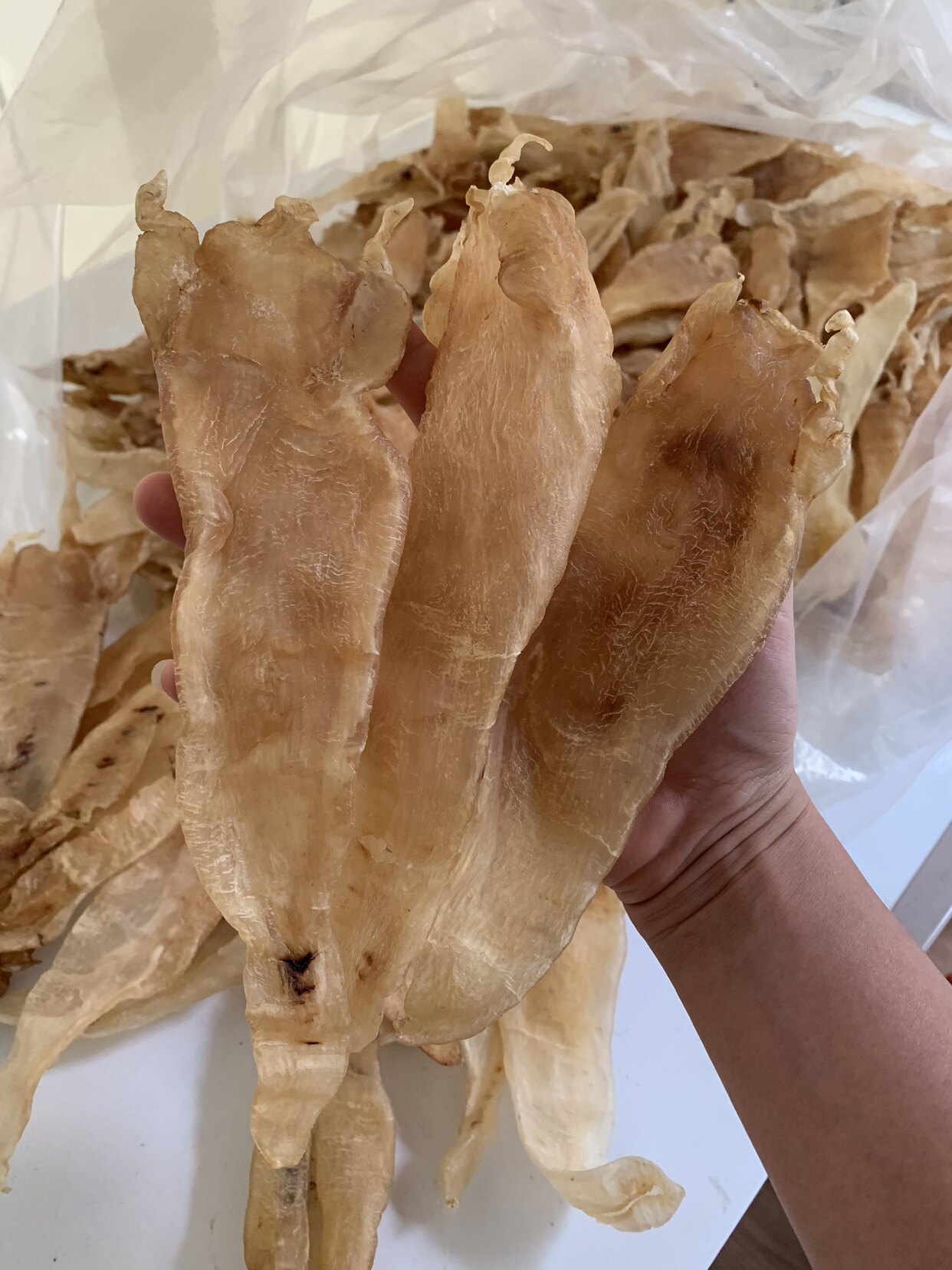 巴西北海鱼胶深海鳘花干货孕妇滋补煲汤14头花胶