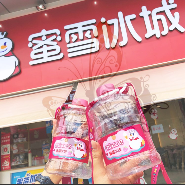蜜雪冰城茶包网红奶茶茶桶雪王魔法水桶水果组合型花茶