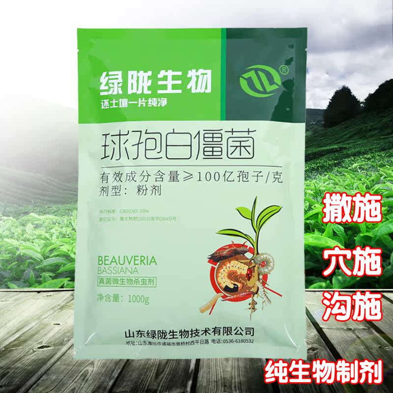 微生物农药杀虫剂真菌球孢白僵菌 蛴螬金针虫地老虎蝼蛄地下害虫