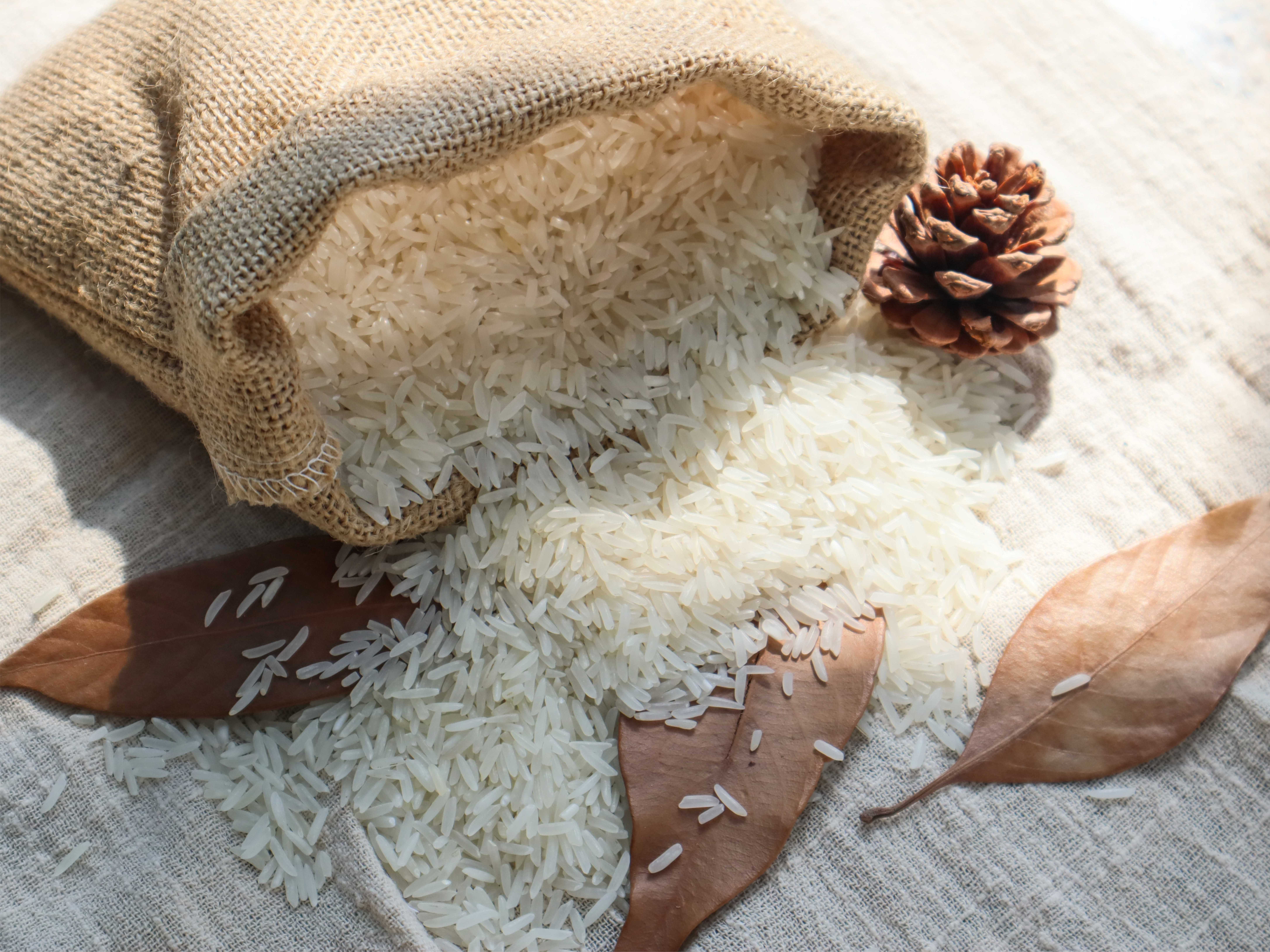 万米业米业10kg龙凤呈祥米粒均匀南方丝苗米籼米大米