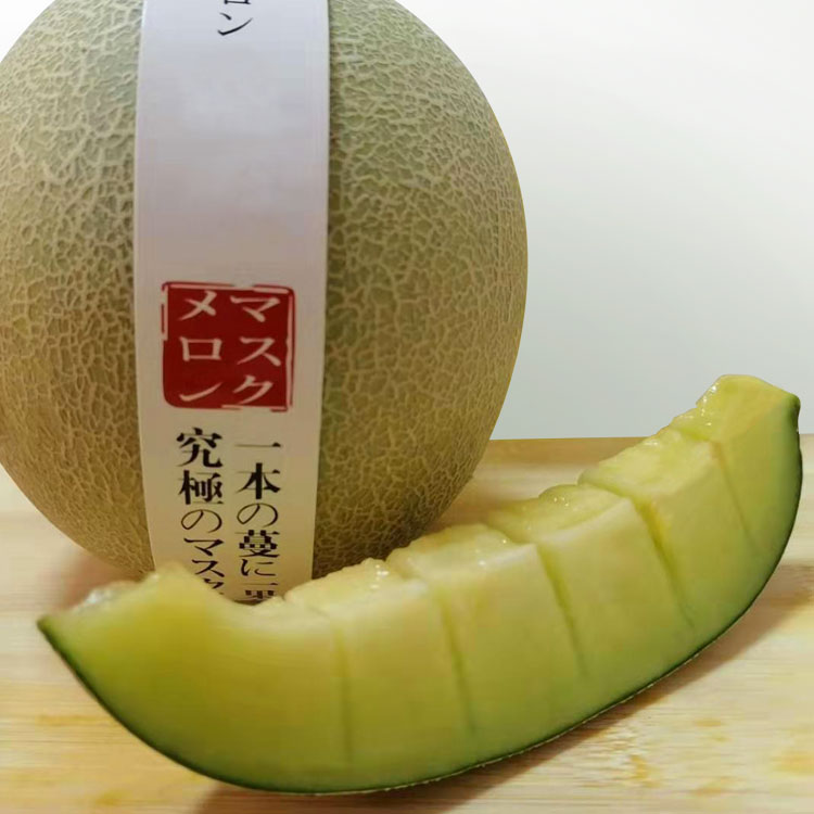 海南网纹瓜哈密瓜玫珑蜜瓜口口蜜醇蜜觅雪网纹蜜瓜2个静冈玫珑瓜
