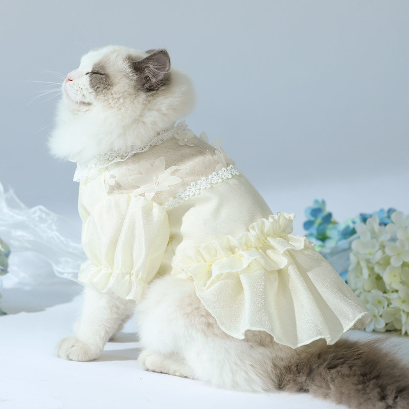 猫咪小猫宠物裙子纱裙猫猫衣服夏小猫连衣裙布偶猫狗宠物服装