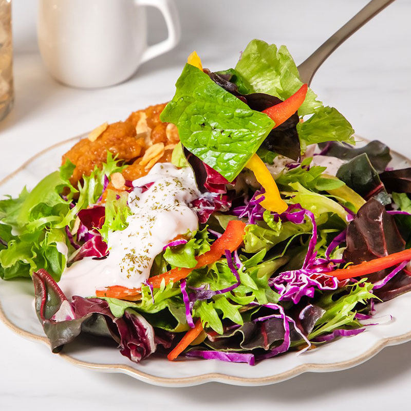 沙拉日式瓶装凯撒家用拌菜蔬菜水果蛋黄酱意色拉沙拉