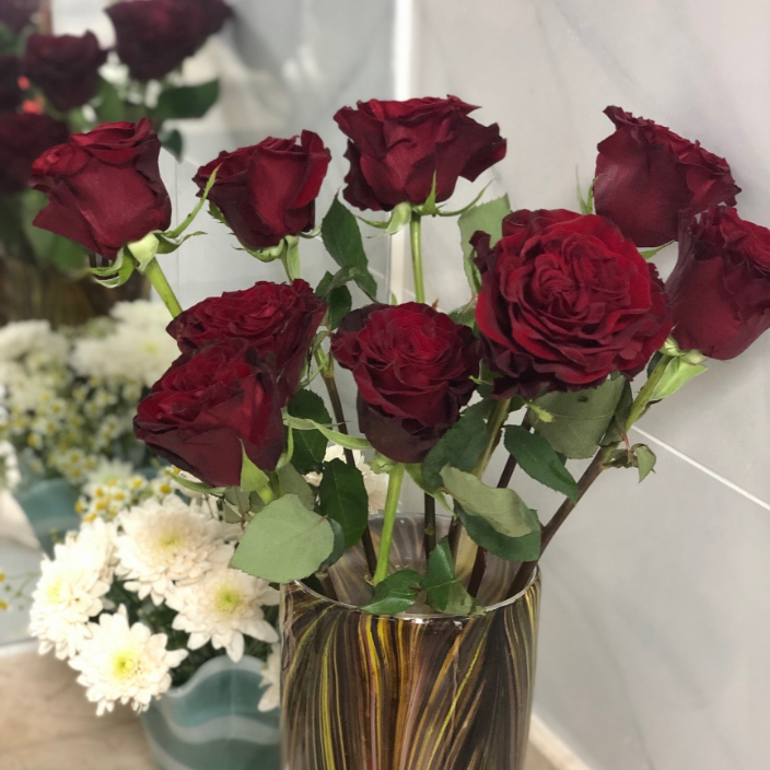 诗人花园心跳红梅梅拉heats厄瓜多尔进口月季根接时令草本花卉