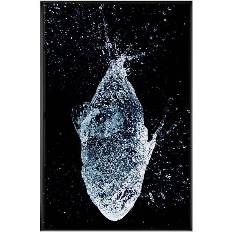 罗尚如鱼得水抽象装饰画现代客厅风水挂画巨幅北欧现代装饰画