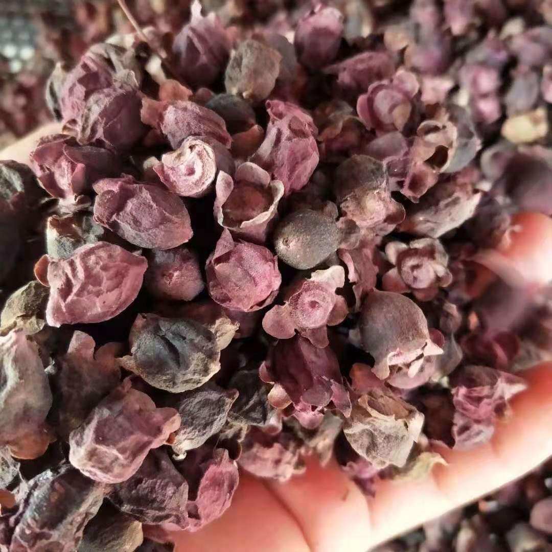 野生岗埝子山捻子干稔豆念山念子桃金娘泡酒佳捻子果品500克包邮