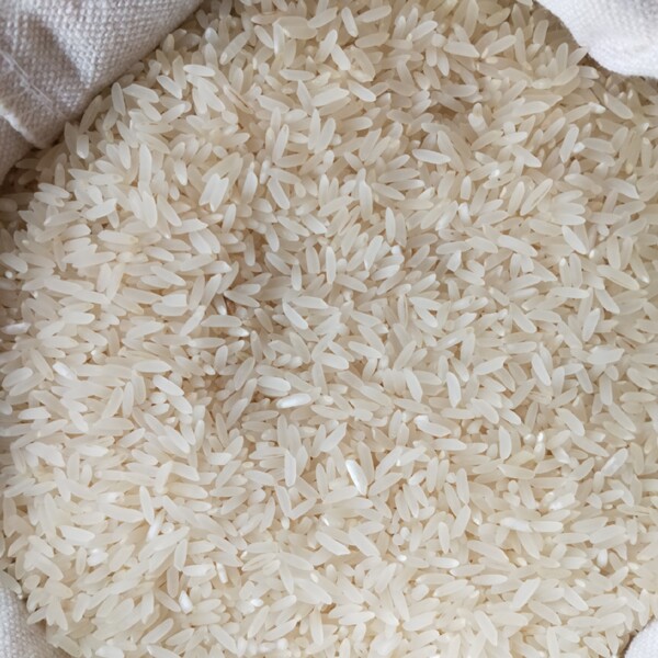 广东韶关正宗马坝油粘米长粒香米新米5kg10斤不抛光不打蜡银粘