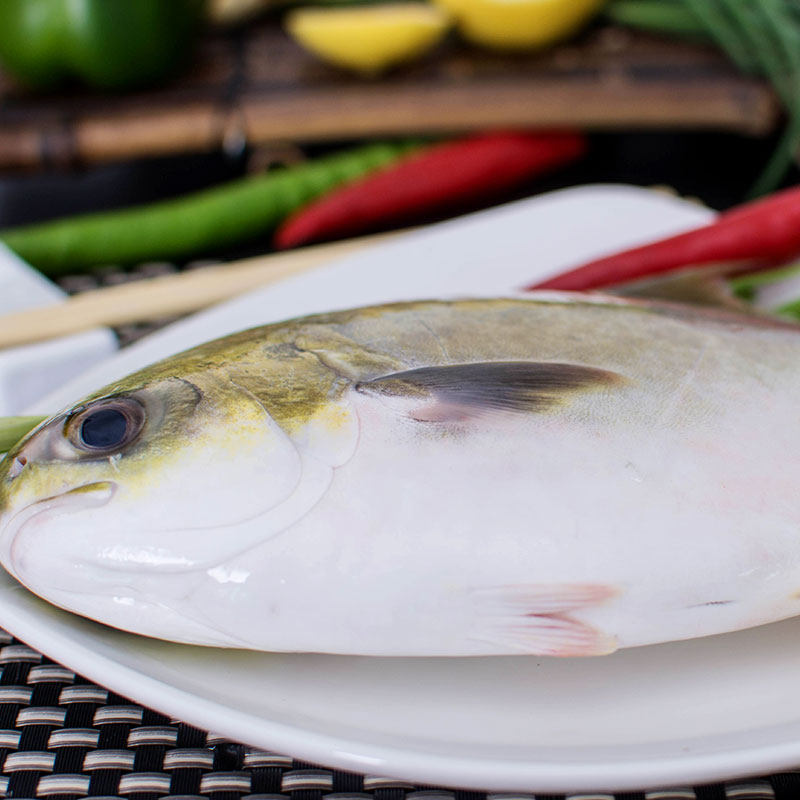 鲳鱼东山岛新鲜包顺丰冷冻扁鱼海鱼深海海捕鱼海鲜鲽鱼