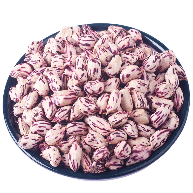 云南特产七彩花生带壳熟五彩花生孟连新鲜晒干野地七彩花生种籽子