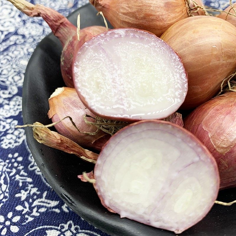 东北特产农家自种毛新鲜小葱葱头鬼子小洋葱生吃葱类