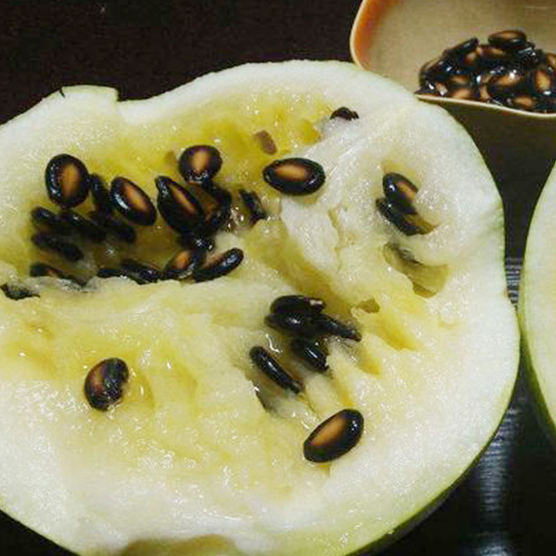 冠王打瓜种子大片瓜子瓜产西瓜南瓜种籽春夏季家庭园艺种子