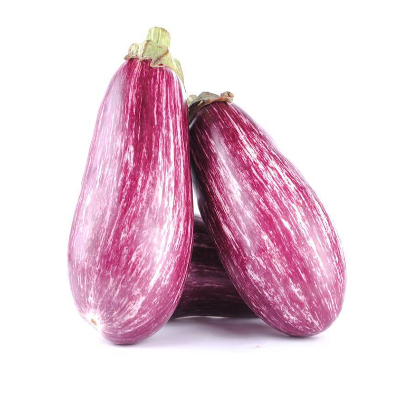 美国进口紫霞花茄子种子苗紫白条纹彩茄子种籽观赏食用春夏秋四季