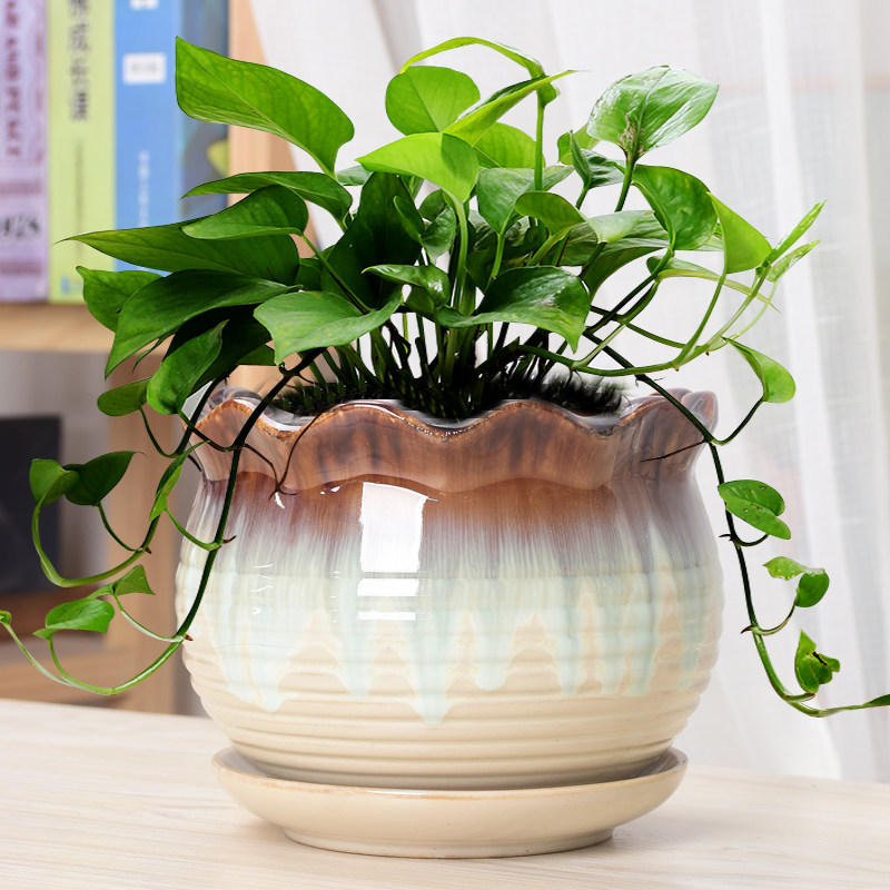 花盆绿萝多肉陶瓷特价清仓特大号大口径绿植植物花盆
