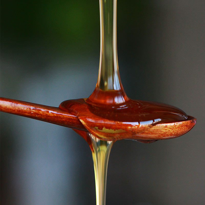 🐝秦岭蜂蜜纯正天然农家自产槐花蜜狼牙刺蜜五倍子自家养土蜂蜜100g