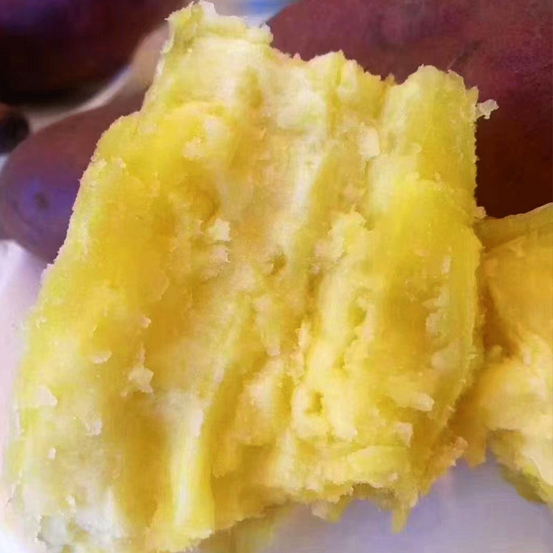 海南澄迈桥头板栗红薯有机富硒沙地地瓜精品番薯