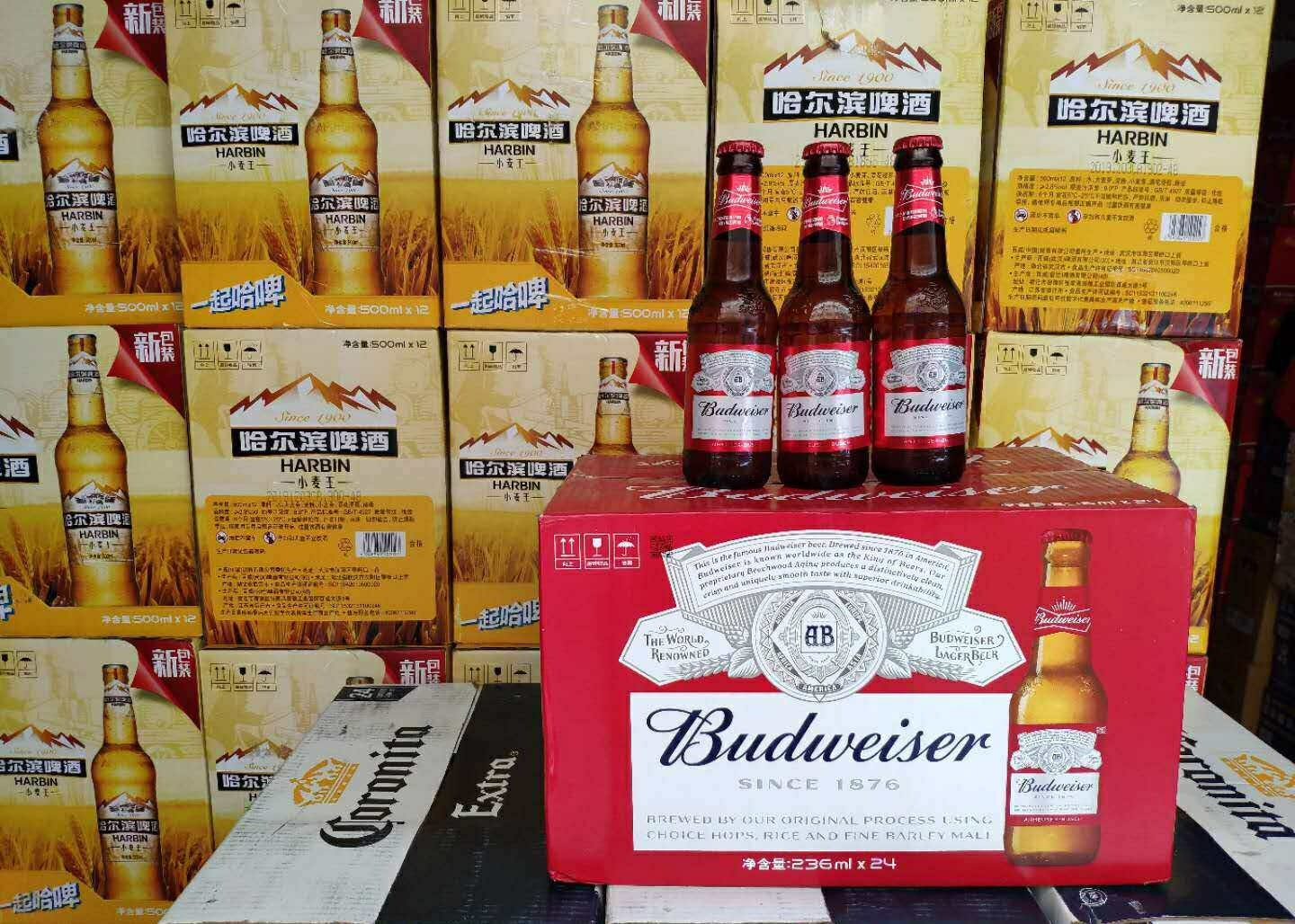 百威236ml啤酒迷你小瓶24瓶装江浙沪包邮啤酒