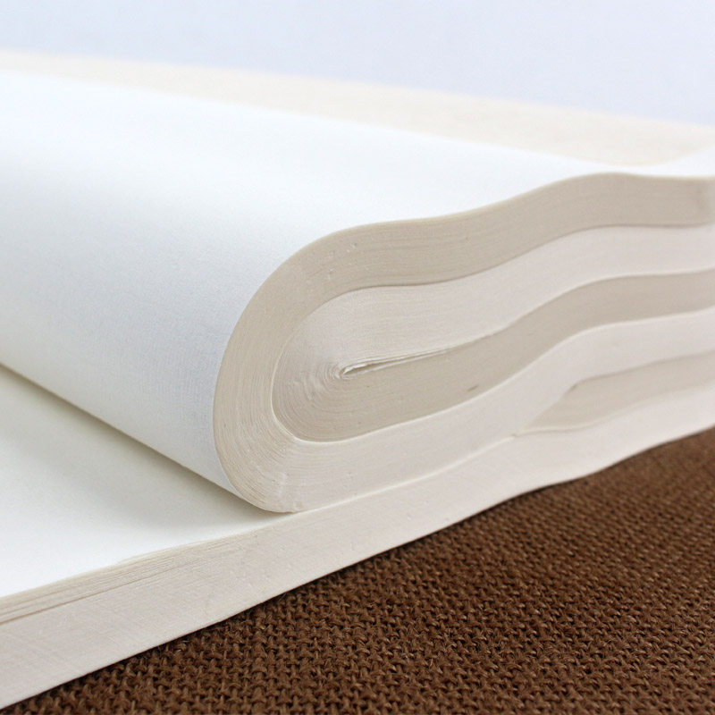 加厚国画作品专用书法宣纸练习创作净皮生毛笔字丈二宣纸