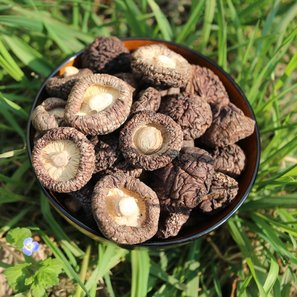 福建小香菇干货100g食用菌特产古田香菇干农家优质冬菇金钱菇肉厚