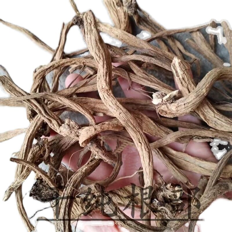 马刺新鲜根大蓟根草恶鸡婆现挖现发牛口刺刺其他药食同源食品