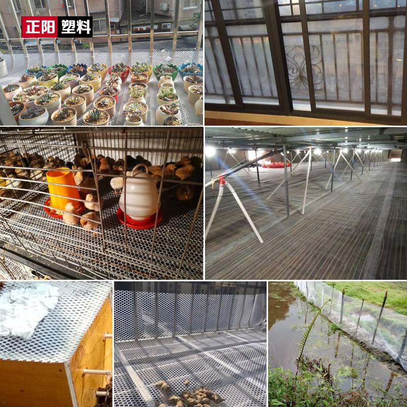 育雏网床家禽漏粪网格养鸡隔离围栏胡蜂小孔安全网