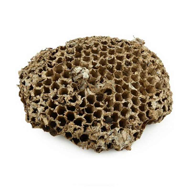 精选马蜂窝野蜂窝露蜂房大黄蜂窝胡蜂蜂房蜂巢治牙疼蚂蜂窝