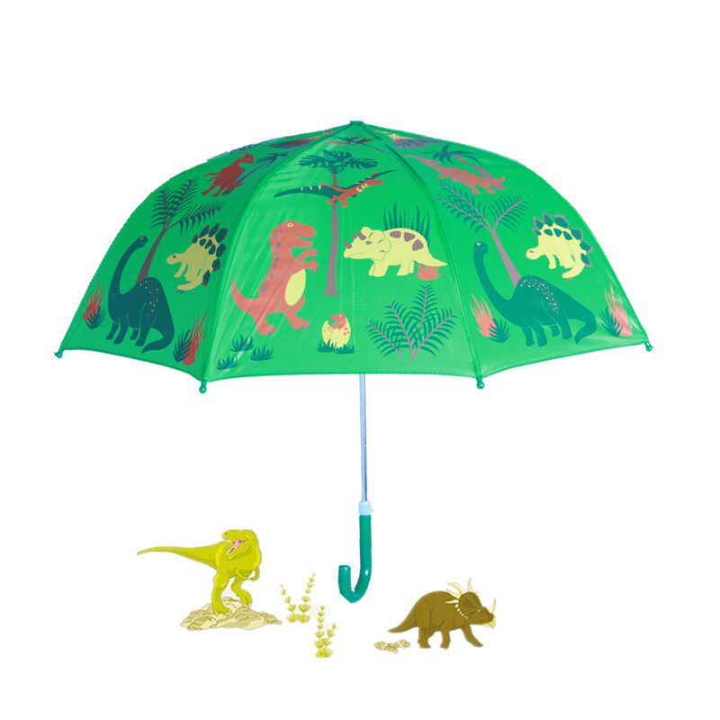 小雨伞恐龙动物雨伞霸王龙男孩侏罗纪世界38岁儿童伞