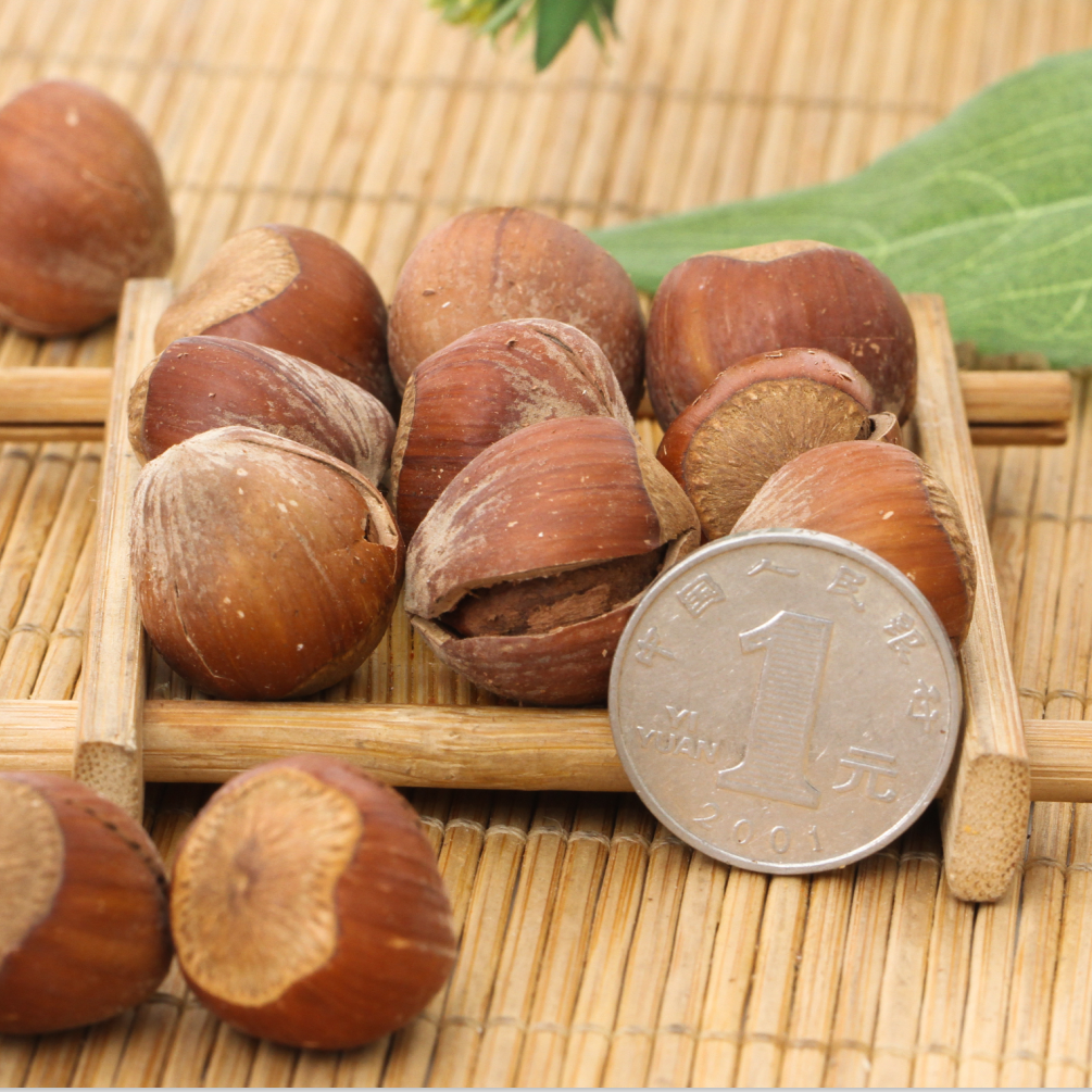 好吃佬东北特产大个薄皮手剥原味开口美国大榛子坚果110g*2包邮