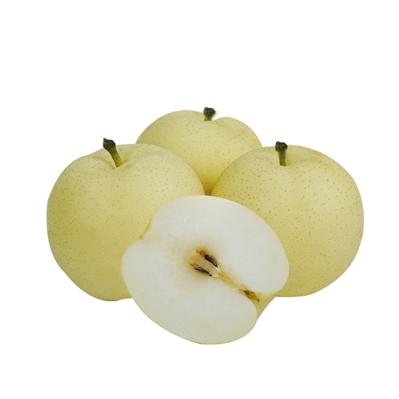 黄金梨河南博望坡南阳20斤包邮方城甜脆水果新鲜梨子现摘多汁整箱
