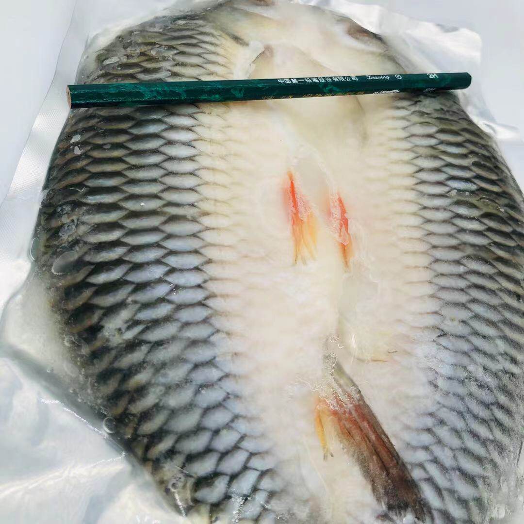苏丹马来西亚忘不了皇帝700g-800g整条包装三条多省包邮其它