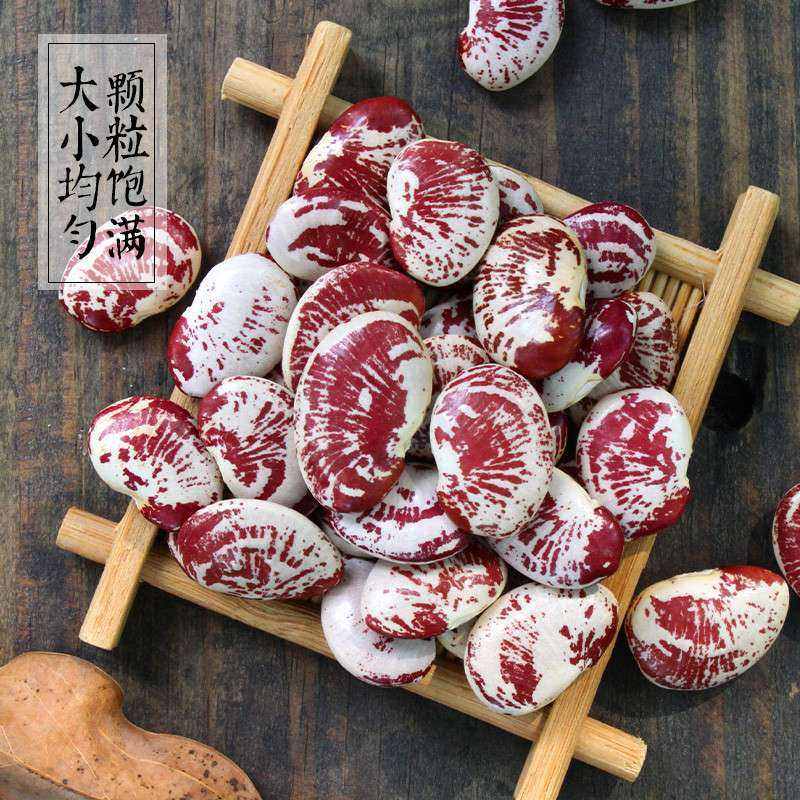 荷包豆状斑马御豆豆鱼状元皇帝豆大芸豆农家其他药食同源食品