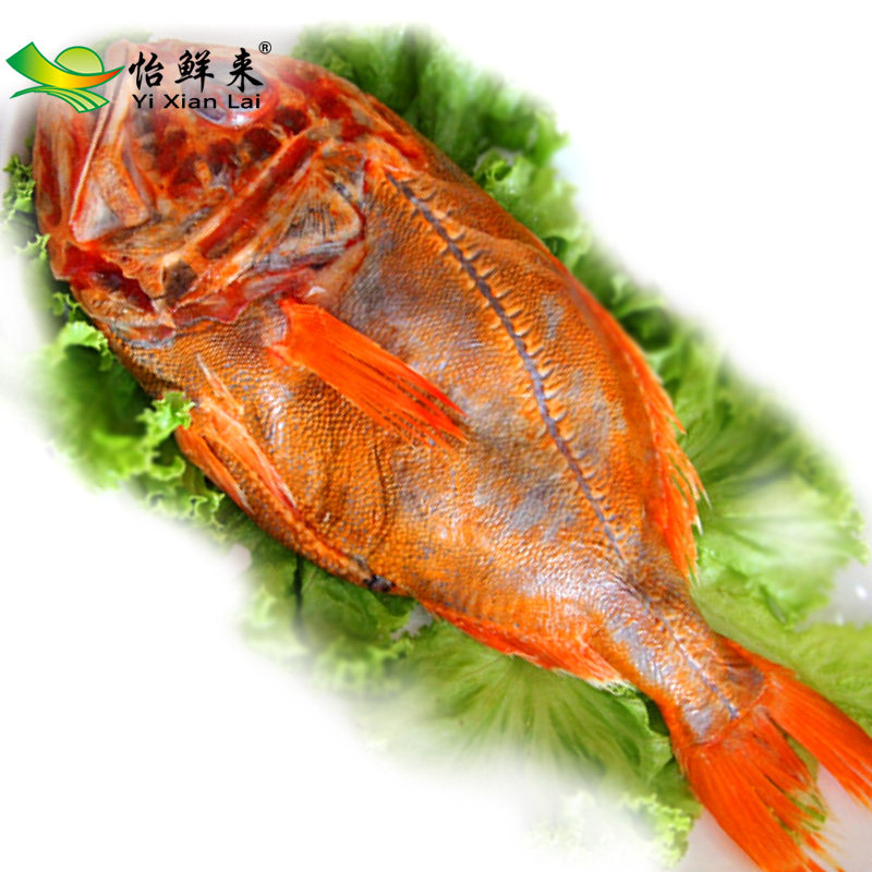 怡鲜来 新西兰进口新鲜冷冻长寿鱼 橙鲷鱼1.2-1.4kg/条 深海海鲜