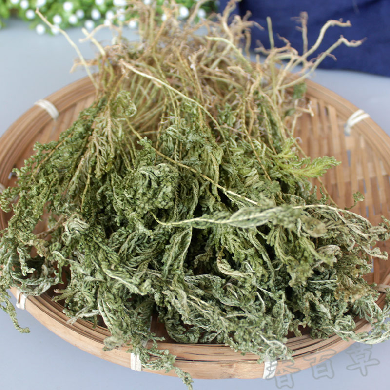 野生新货石上柏500克中草药地侧柏 梭罗草 地梭罗金龙草深绿卷柏