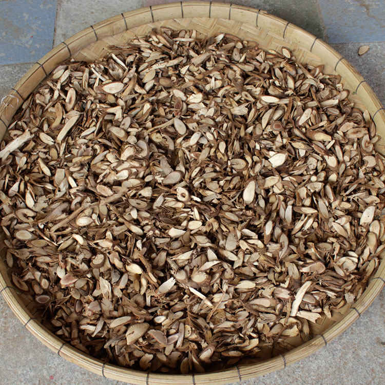 野生千斤拔中药材千斤力正品钉地根老鼠尾钻地风千金拔500g可磨粉