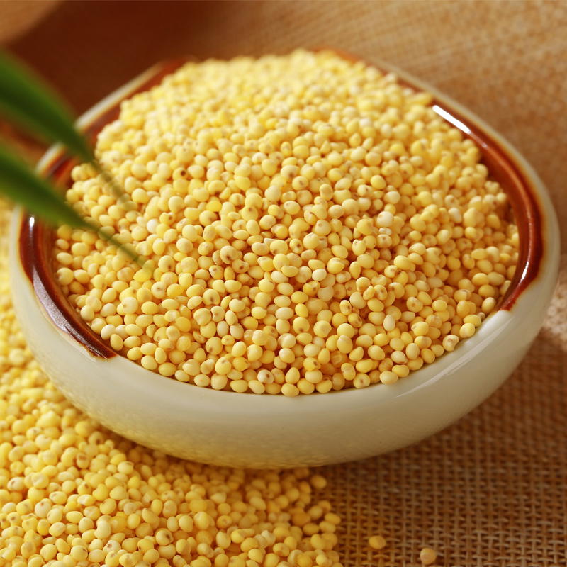 五谷杂粮油多小米米黏黄米黍米糯米5斤黄糯米农家大黄小米