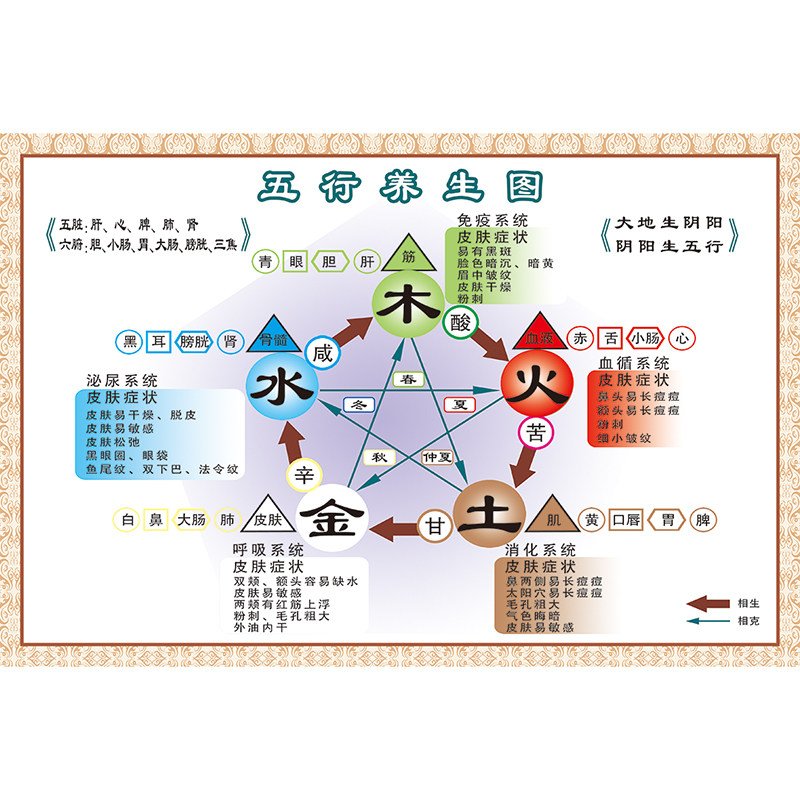 中医阴阳五行图解贴画中医养生文化知识宣传美容院海报写真