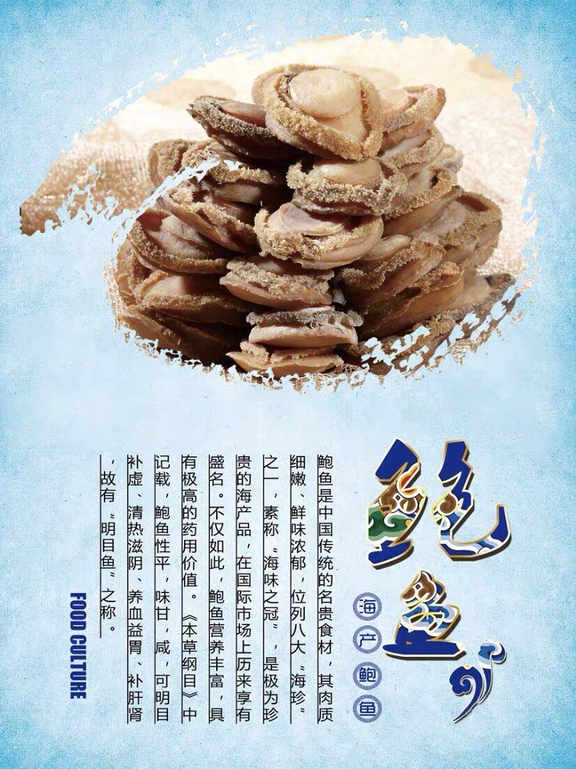 海产品海报干货鲍鱼鱼花沙虫虾仁瑶柱鱼翅海参写真