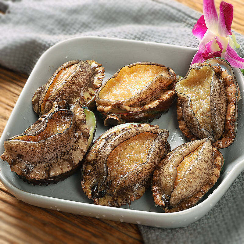 新鲜活鲍鱼大个连江小鲍鱼贝类海鲜水产500g顺丰包邮超大福建鲍鱼