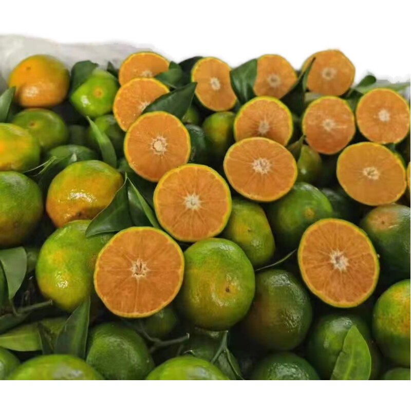 广西清香茶桔蜜桔5斤礼盒装新鲜水果小青橘子北京当日达