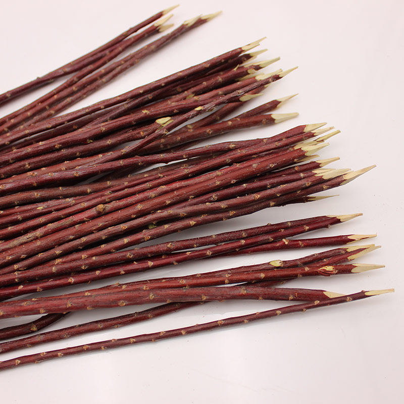 首页 痛风淘宝      红柳 签子红柳木 枝红柳烤肉羊肉串30354050cm